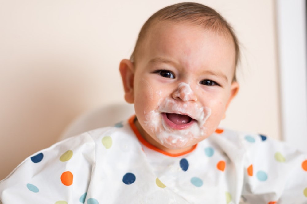 Bebek yoğurdu yapımı için keçi sütü veya inek sütü kullanabilirsiniz.